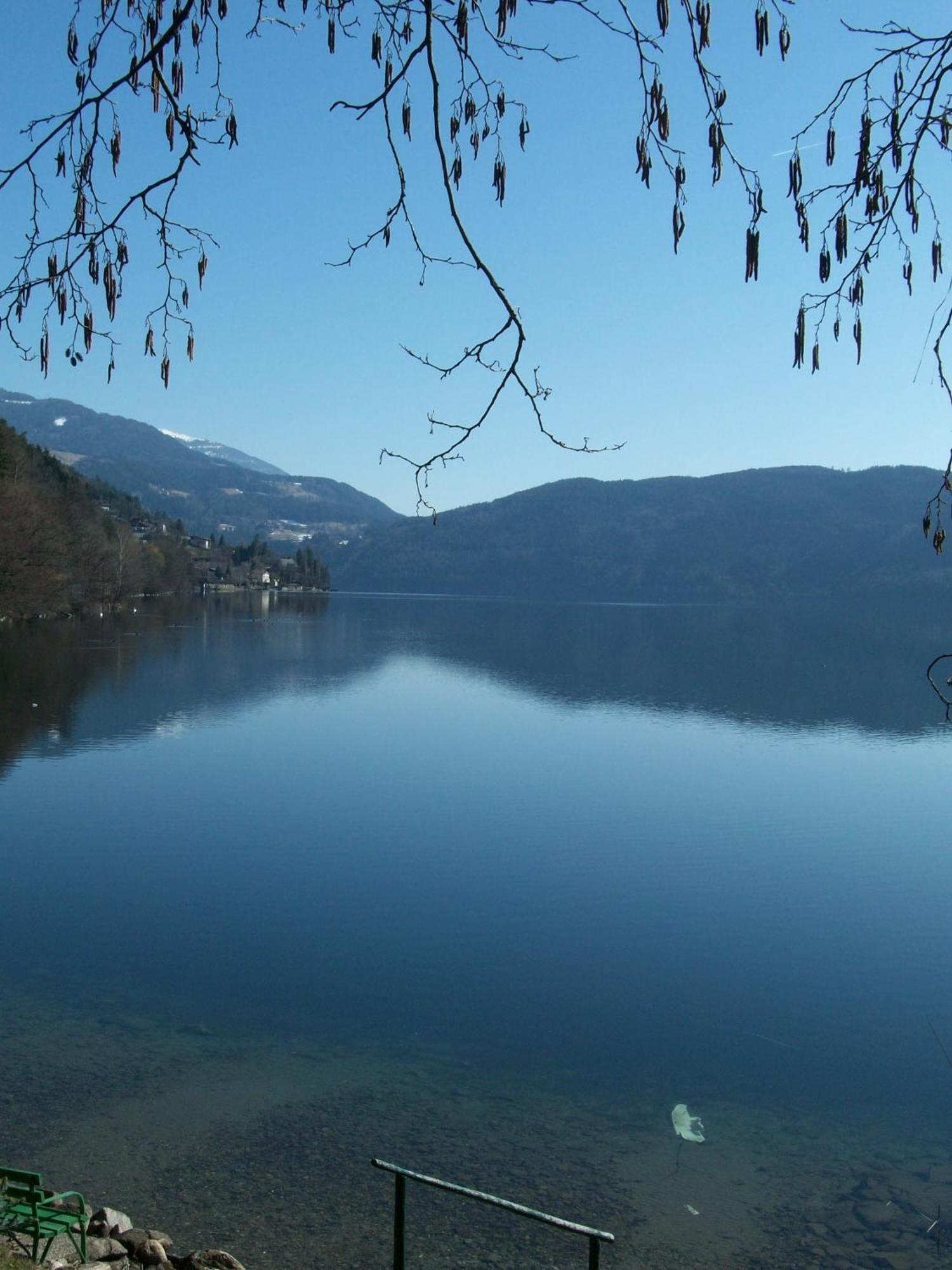 Pension Laerchenhof Döbriach Εξωτερικό φωτογραφία